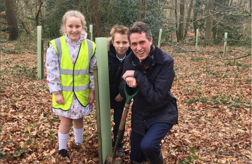 Gavin plants trees with the Kinver Rotary Club