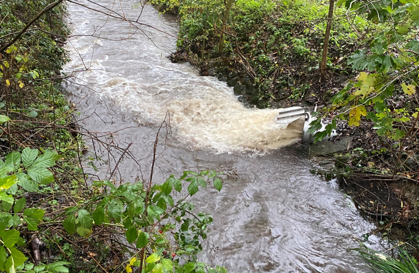 Discharges into the Wombrook