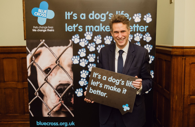 Gavin attends Blue Cross Parliamentary Reception