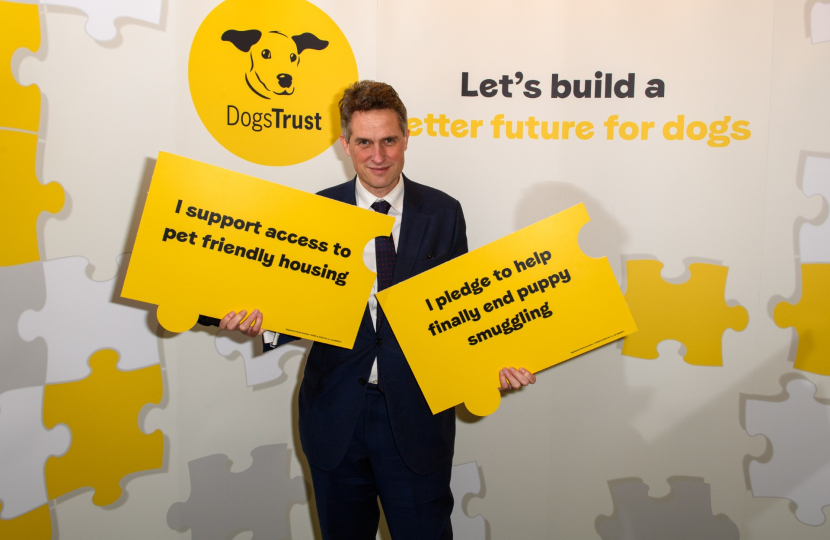 Gavin attends Dogs Trust Parliamentary reception 