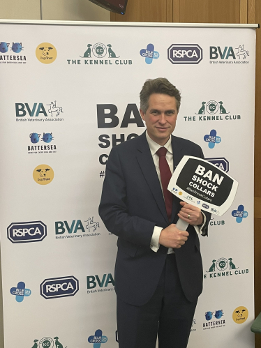 Sir Gavin Williamson attending a parliamentary event to take action against electric shock collars