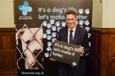 Gavin attends Blue Cross Parliamentary Reception